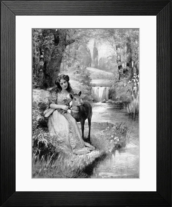 Framed Print : Fairy stories by photography; Grimms stories illustrated Framed Print : Fairy stories by photography; Grimms stories illustrated