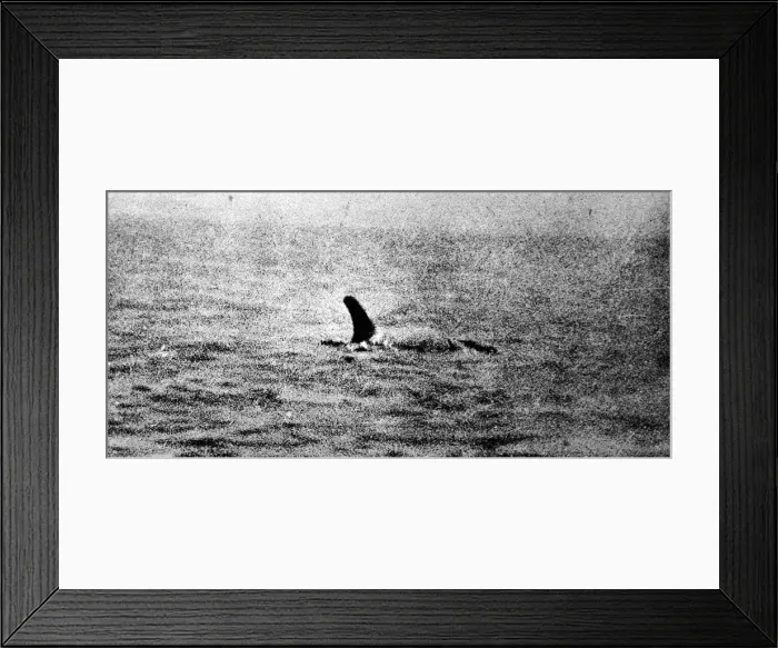 Framed Print : Photo of the Loch Ness Monster? Framed Print : Photo of the Loch Ness Monster?