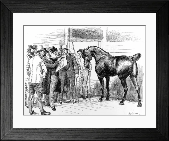 Framed Print : The Summer Horse Show, Islington, 1892 Framed Print : The Summer Horse Show, Islington, 1892