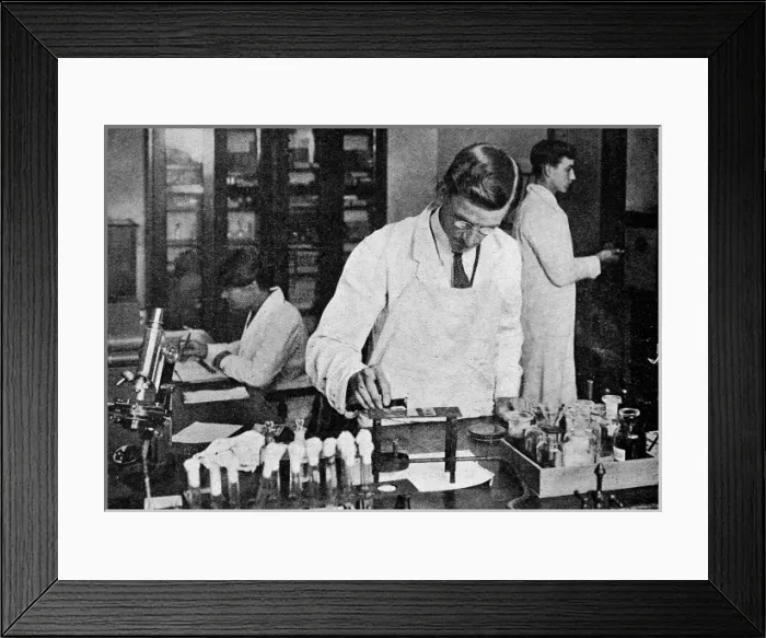 Framed Print : Dairy research work in a Reading laboratory