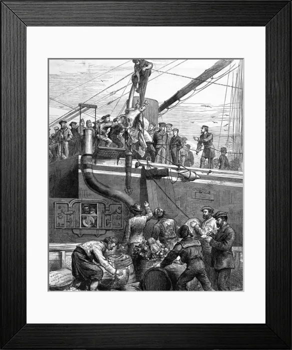 Framed Print : Shipping Beef on Board HMS Alexandra, 1878 Framed Print : Shipping Beef on Board HMS Alexandra, 1878