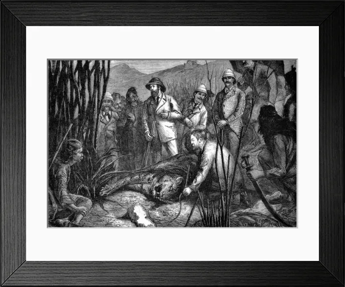 Framed Print : The Prince of Wales after Shooting his First Tiger, 1877 Framed Print : The Prince of Wales after Shooting his First Tiger, 1877