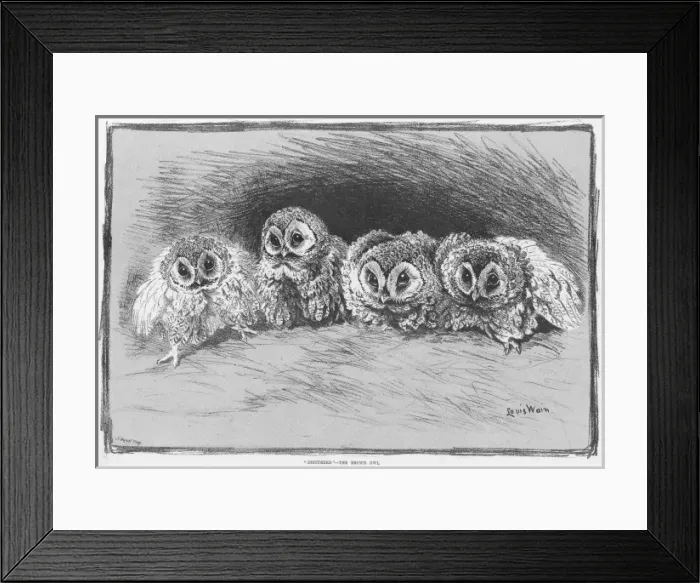 Framed Print : Disturbed - the Brown Owl by Louis Wain Framed Print : Disturbed - the Brown Owl by Louis Wain
