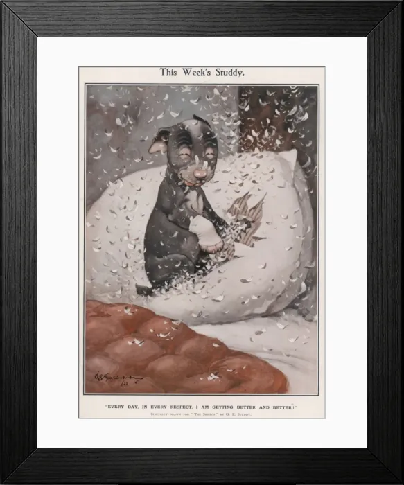 Framed Print : This Weeks Studdy - (Pillow) Framed Print : This Weeks Studdy - (Pillow)