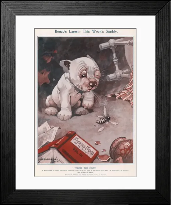 Framed Print : Bonzos Latest: This Weeks Studdy Framed Print : Bonzos Latest: This Weeks Studdy