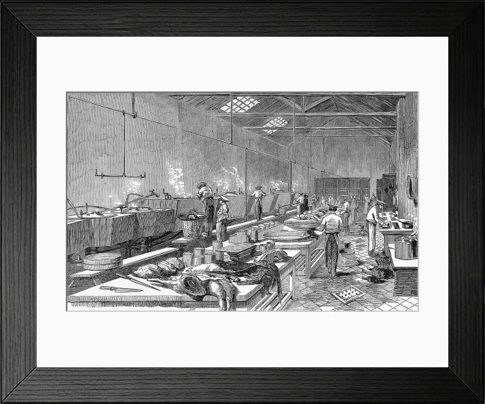 Framed Print : Ritchie and Mcalls Preserved Meat Establishment, Houndsditc Framed Print : Ritchie and Mcalls Preserved Meat Establishment, Houndsditc