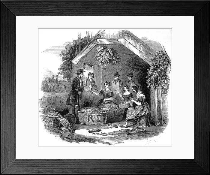Framed Print : The Strawberry Trade - pottling Framed Print : The Strawberry Trade - pottling