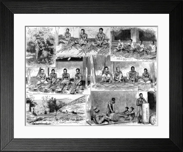 Framed Print : The Preparation of Cinnamon in Ceylon Framed Print : The Preparation of Cinnamon in Ceylon
