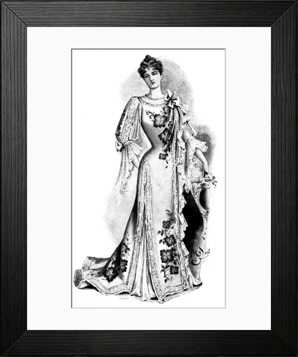 Framed Print : Ladies Tea-gown fashion, 1899