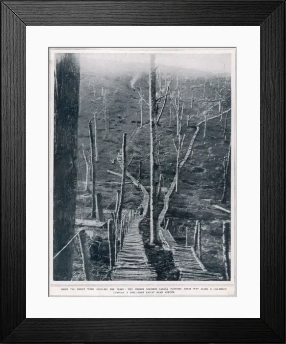 Framed Print : Timber roads on the battlefields near Verdun Framed Print : Timber roads on the battlefields near Verdun