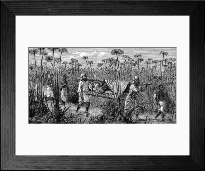 Framed Print : Dr. Livingstone being carried during his last exploration, M
