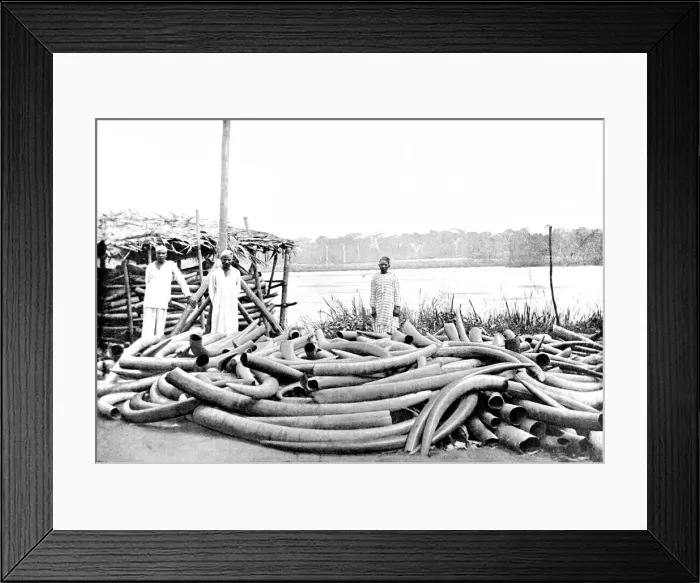 Framed Print : Tippoo Tibs Ivory Store at Stanley Falls, Lualaba River, c Framed Print : Tippoo Tibs Ivory Store at Stanley Falls, Lualaba River, c
