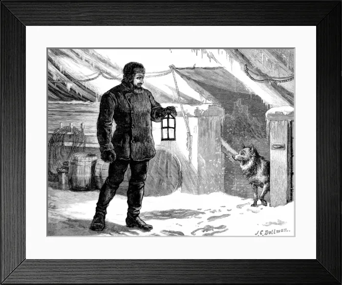 Framed Print : Ginger the dog attempting to board the ship, British Arctic Framed Print : Ginger the dog attempting to board the ship, British Arctic