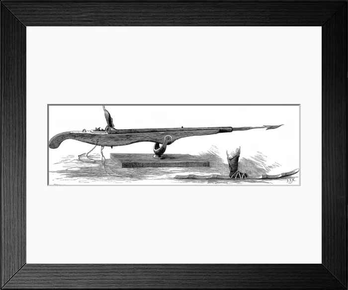 Framed Print : Whale Gun and Snow-shoe, 1875