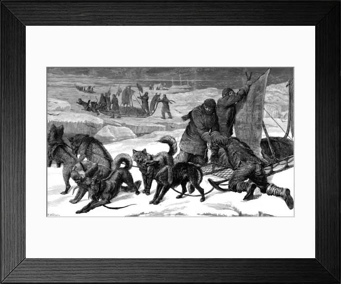 Framed Print : Dog Sledges ready for use in the Arctic, 1875 Framed Print : Dog Sledges ready for use in the Arctic, 1875