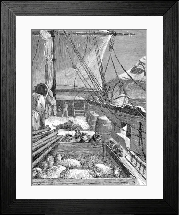 Framed Print : The Deck of HMS Alert, British Arctic Expedition, 1875 Framed Print : The Deck of HMS Alert, British Arctic Expedition, 1875