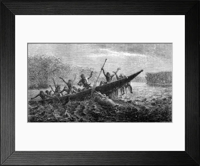 Framed Print : Hippopotamus attacking a canoe, South Africa, 1857 Framed Print : Hippopotamus attacking a canoe, South Africa, 1857