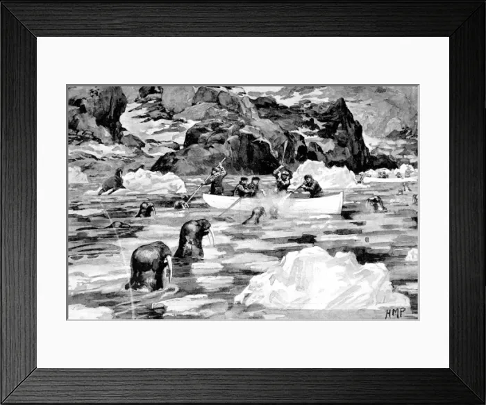 Framed Print : Men of the Jackson-Harmsworth Polar Expedition hunting walru Framed Print : Men of the Jackson-Harmsworth Polar Expedition hunting walru