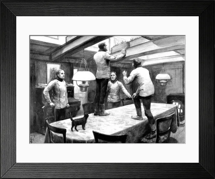Framed Print : Crocuses growing in PRS Discoverys wardroom, 1902 Framed Print : Crocuses growing in PRS Discoverys wardroom, 1902