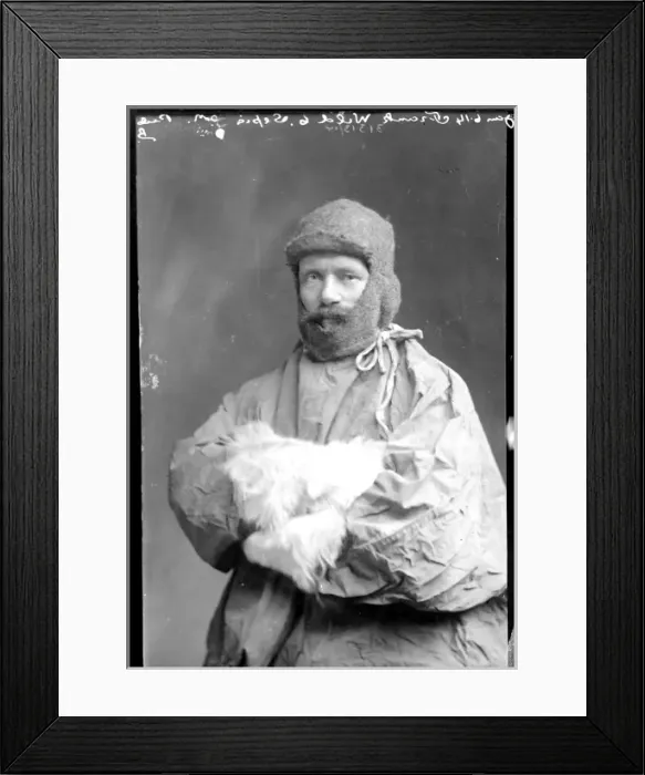 Framed Print : Frank Wild (1873-1939)