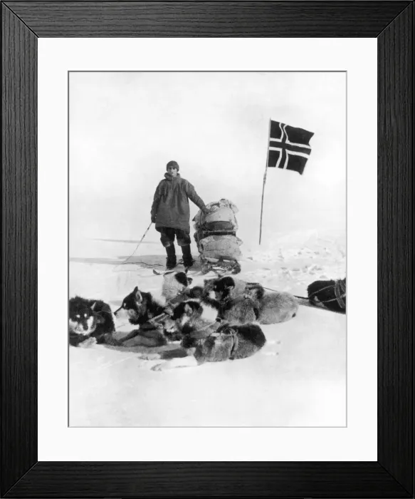 Framed Print : The Norwegian Flag at the South Pole, 1911 Framed Print : The Norwegian Flag at the South Pole, 1911