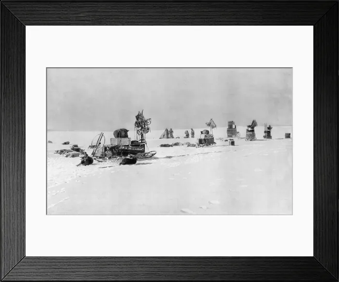 Framed Print : The Amundsen Antarctic Expedition camping on the Level Barri Framed Print : The Amundsen Antarctic Expedition camping on the Level Barri