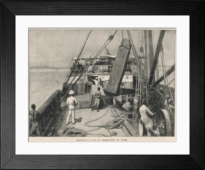 Framed Print : Shipping a Mahogany Log, River Niger Framed Print : Shipping a Mahogany Log, River Niger
