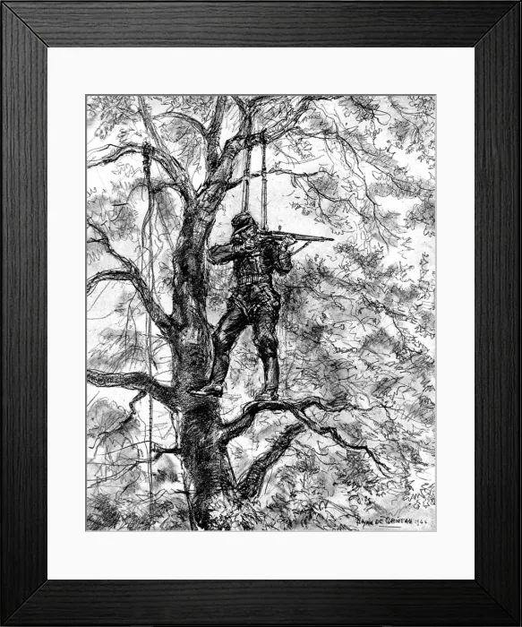 Framed Print : German Sniper in a tree, Normandy, 1944 Framed Print : German Sniper in a tree, Normandy, 1944