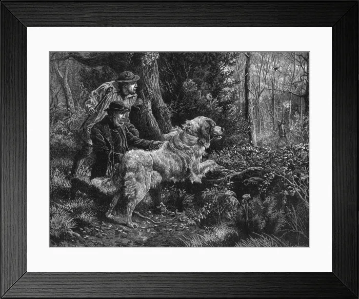 Framed Print : Catching a poacher Framed Print : Catching a poacher