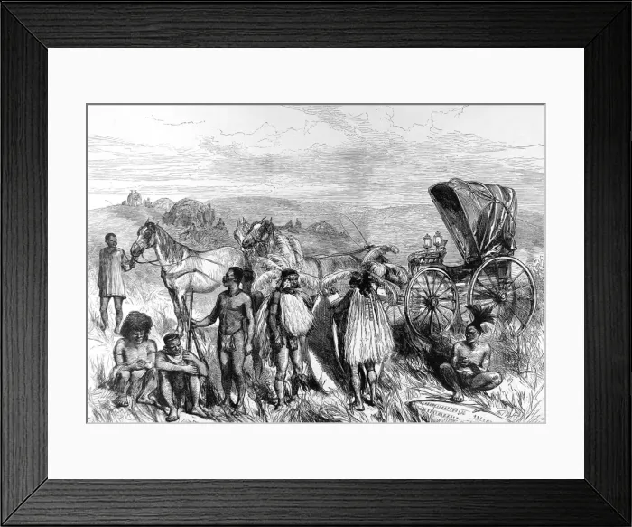 Framed Print : Zululand. The King of Zululands carriage Framed Print : Zululand. The King of Zululands carriage