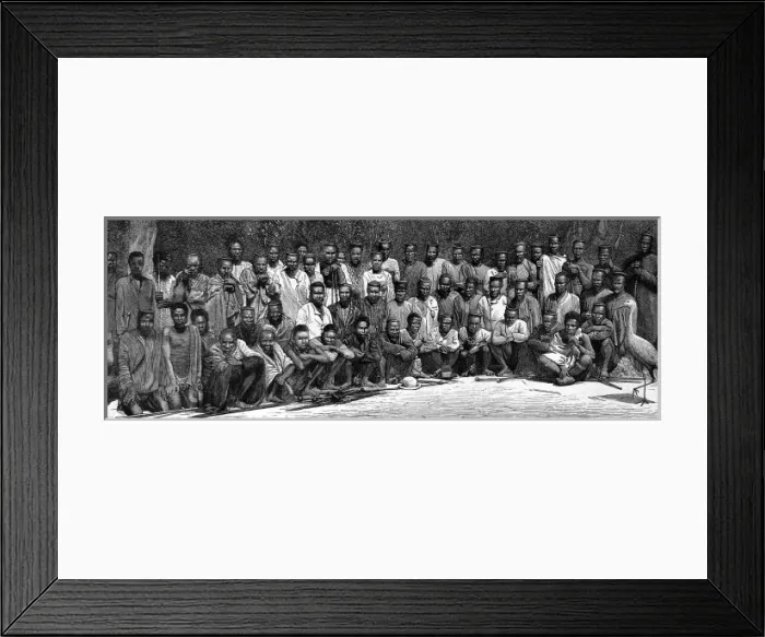 Framed Print : Zulu wars. The restoration of Cetshwayo Framed Print : Zulu wars. The restoration of Cetshwayo