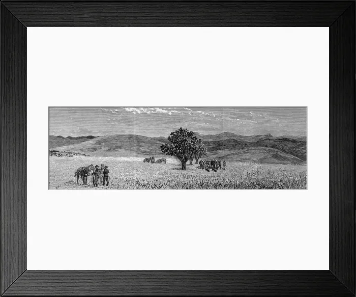 Framed Print : The Zulu war. Funeral of Lieutenant Scott Douglas and Corpor