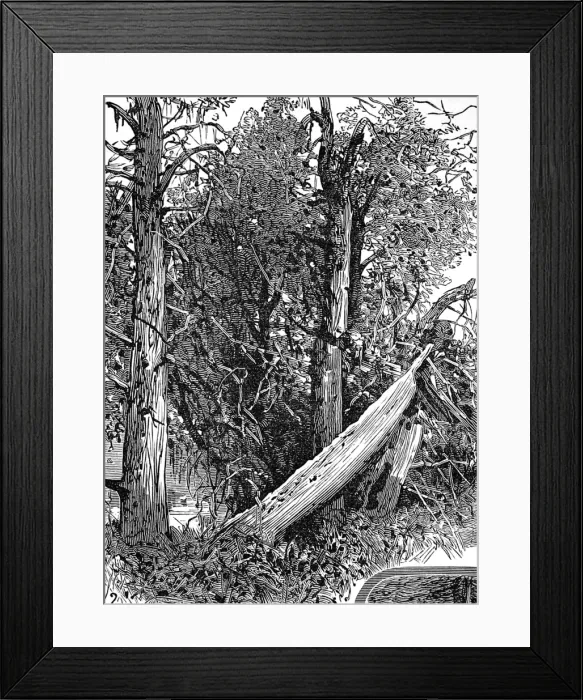 Framed Print : Native American Indian Chiefs Grave, San Juan Island, 1882 Framed Print : Native American Indian Chiefs Grave, San Juan Island, 1882