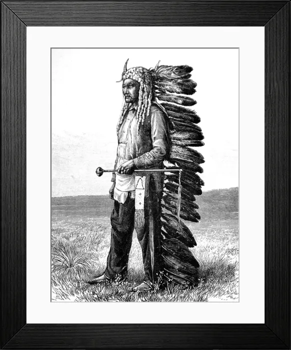 Framed Print : American Indians. Sitting Bull, Chief of the Sioux Framed Print : American Indians. Sitting Bull, Chief of the Sioux