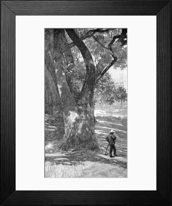 Framed Print : Rural Scene, Southern California, 1888 Framed Print : Rural Scene, Southern California, 1888