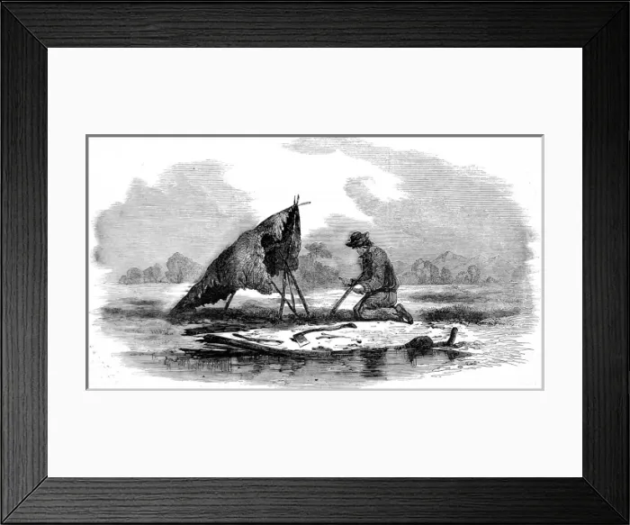 Framed Print : Canadian guide making a canoe, 1858 Framed Print : Canadian guide making a canoe, 1858