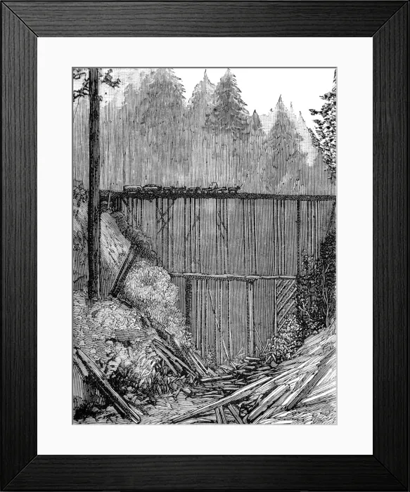 Framed Print : A Bridge in the Redwood Forest, California, 1884 Framed Print : A Bridge in the Redwood Forest, California, 1884