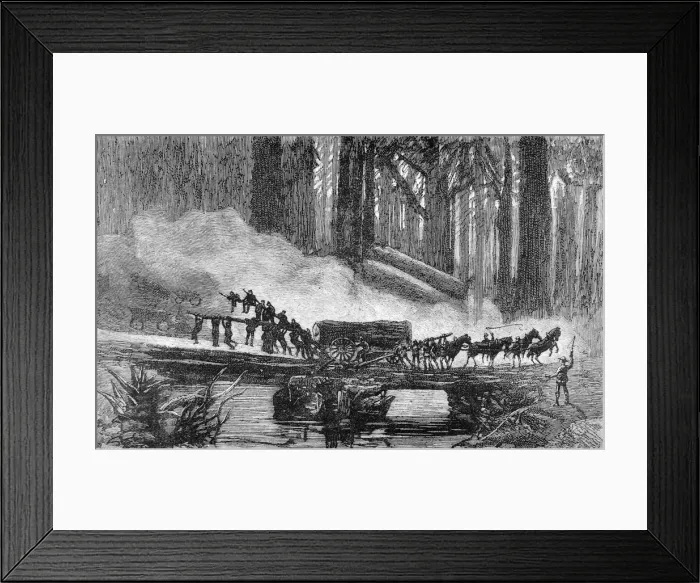 Framed Print : A wagon breakdown in the Redwood Forest, California, 1884