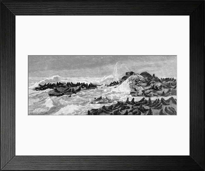 Framed Print : Seal Point, Bay of San Francisco, 1888 Framed Print : Seal Point, Bay of San Francisco, 1888