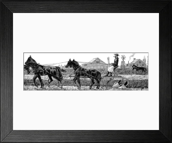 Framed Print : America. Wheat Farming in California. November: Ploughing Framed Print : America. Wheat Farming in California. November: Ploughing