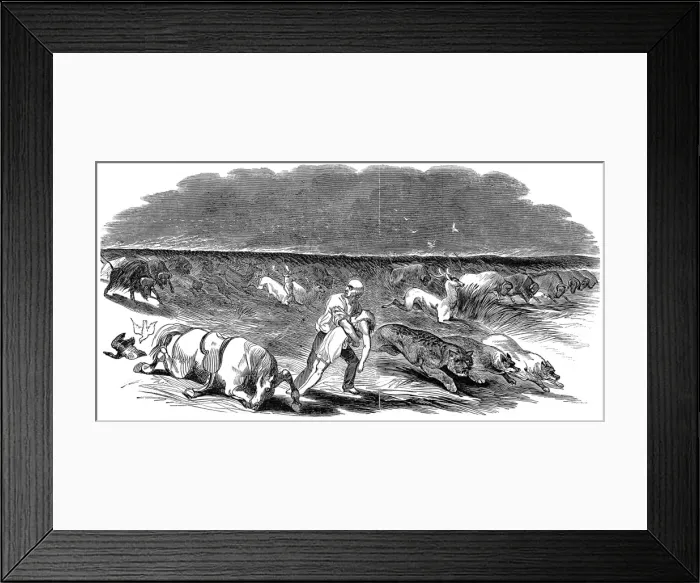 Framed Print : American Prairie on Fire