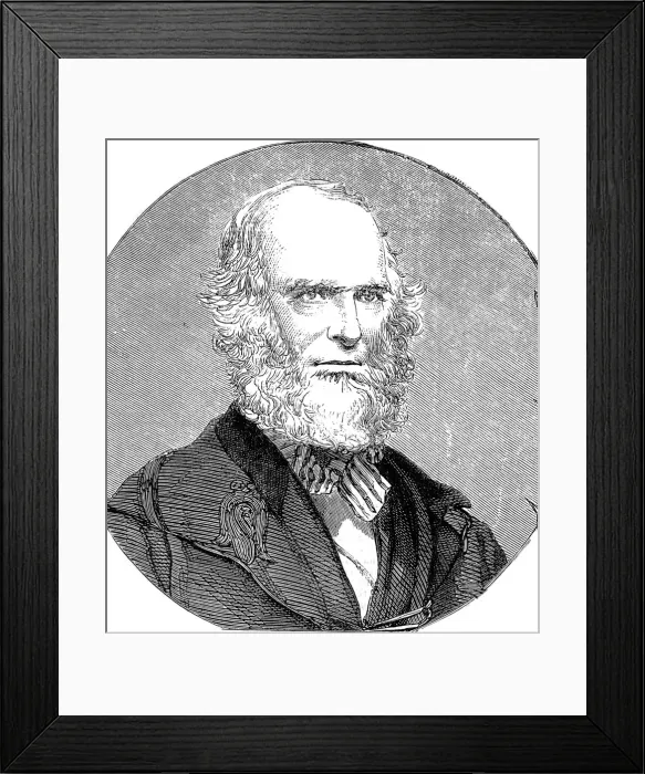 Framed Print : American celebrities, Literary Celebrities of New York, Char Framed Print : American celebrities, Literary Celebrities of New York, Char