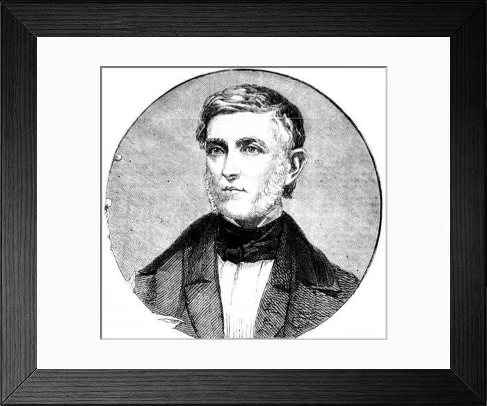 Framed Print : American Celebrities, Literary Celebrities of New York, Baya Framed Print : American Celebrities, Literary Celebrities of New York, Baya