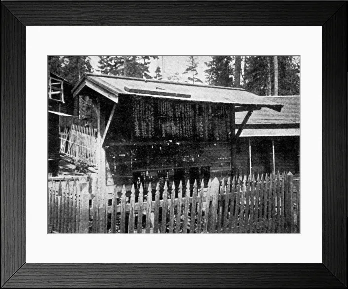 Framed Print : News Stand in Japanese, America, 1907 Framed Print : News Stand in Japanese, America, 1907