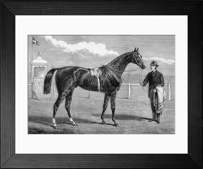Framed Print : Camballo, Winner of the Two Thousand Guineas Stakes Framed Print : Camballo, Winner of the Two Thousand Guineas Stakes