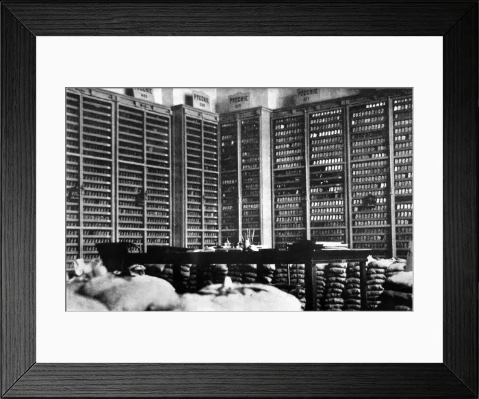 Framed Print : The Russian Gold Reserve in the State Bank in St. Petersburg Framed Print : The Russian Gold Reserve in the State Bank in St. Petersburg