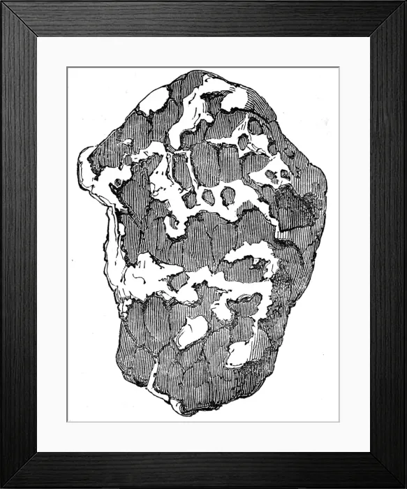 Framed Print : Brazil. Gold Washing. Rounded Water-Worn Pebble of Gold with