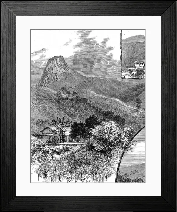 Framed Print : The Wynaad Goldfields, Southern India. View of the Needle Ar Framed Print : The Wynaad Goldfields, Southern India. View of the Needle Ar