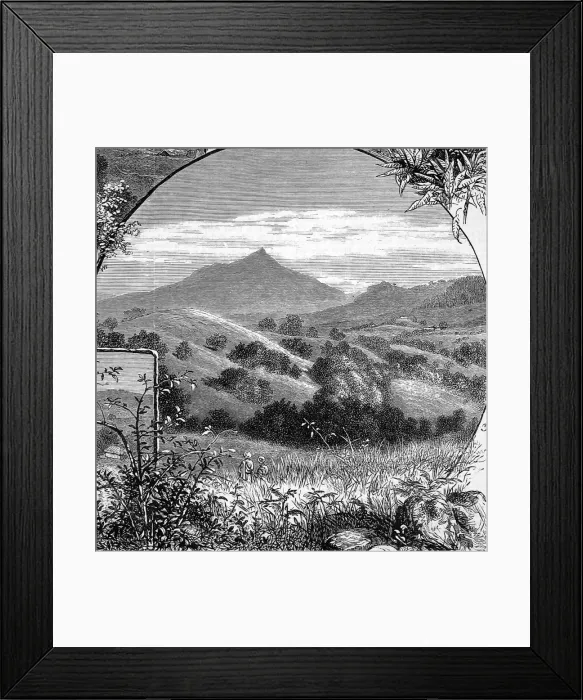 Framed Print : The Wynaad Goldfields, Southern India. Views of the Needle A Framed Print : The Wynaad Goldfields, Southern India. Views of the Needle A