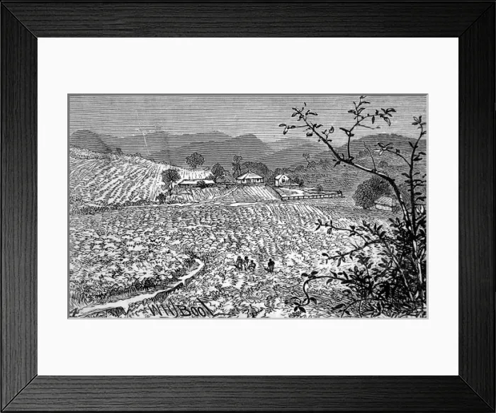 Framed Print : The Wynaad Goldfields, Southern India. View of the Richmond Framed Print : The Wynaad Goldfields, Southern India. View of the Richmond